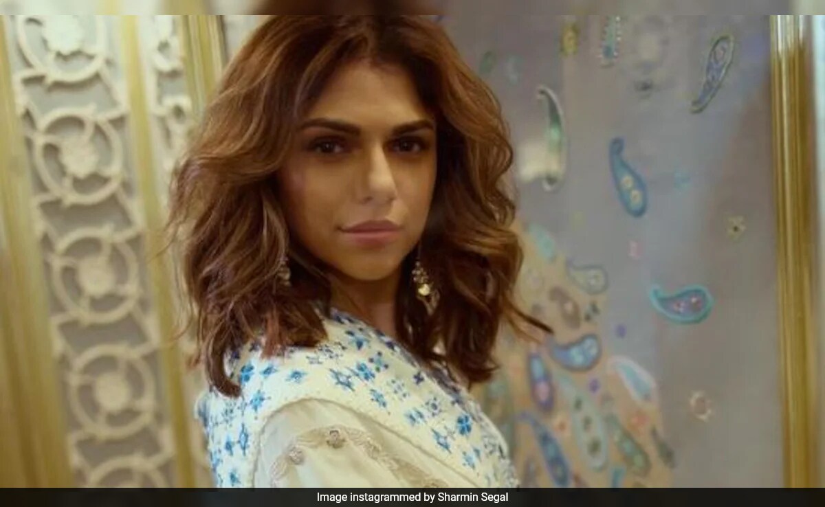 <i>Heeramandi</i> Actor Sharmin Segal Reveals She Gave 16 Auditions For Alamzeb's Role