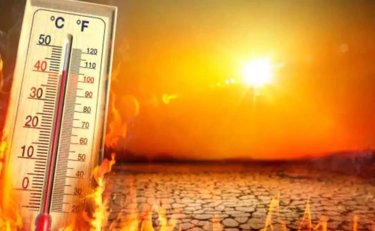 राजस्थान में लू का अलर्ट, पारा 43 डिग्री के करीब पहुंचा तो बाजार में पसरा सन्नाटा; 2 डिग्री तक बढ़ेगा तापमान!