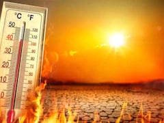 राजस्थान में लू का अलर्ट, पारा 43 डिग्री के करीब पहुंचा तो बाजार में पसरा सन्नाटा; 2 डिग्री तक बढ़ेगा तापमान!