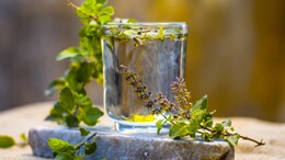 Boost Your Immunity With Tulsi! 5 Unique Ways To Add It To Your Monsoon Diet