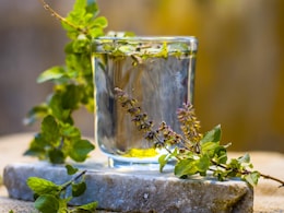 Boost Your Immunity With Tulsi! 5 Unique Ways To Add It To Your Monsoon Diet