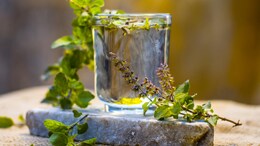 Struggling With Stress Or Hormonal Imbalance? Ayurveda Expert Reveals 3 Herbs That Can Help
