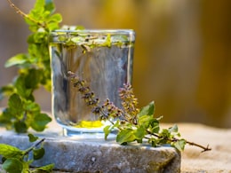 5 Lesser-Known Health Benefits Of Consuming Tulsi Water Every Day 5 Lesser-Known Health Benefits Of Consuming Tulsi Water Every Day