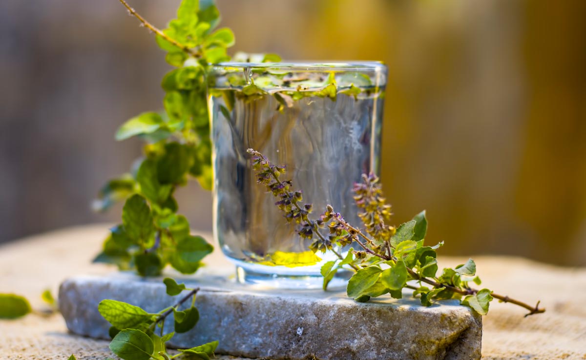 Struggling With Stress Or Hormonal Imbalance? Expert Reveals Herbs That Can Help