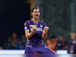 'एलिसाला कुठं लपवलं होतंस?' बायकोबद्दल प्रश्न विचारताच Mitchell Starc म्हणाला.... Video