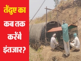 बकरी का लालच नहीं आया काम... अब पाइप लाइन से तेंदुए को ऐसे निकालेगा वन विभाग, जानिए रेस्क्यू प्लान बकरी का लालच नहीं आया काम... अब पाइप लाइन से तेंदुए को ऐसे निकालेगा वन विभाग, जानिए रेस्क्यू प्लान