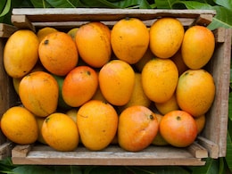 पके आम हफ्तों तक नहीं होंगे खराब, इस तरीके से घर पर करें स्टोर