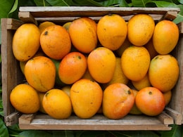 6 Signs You're Officially Obsessed With Mangoes