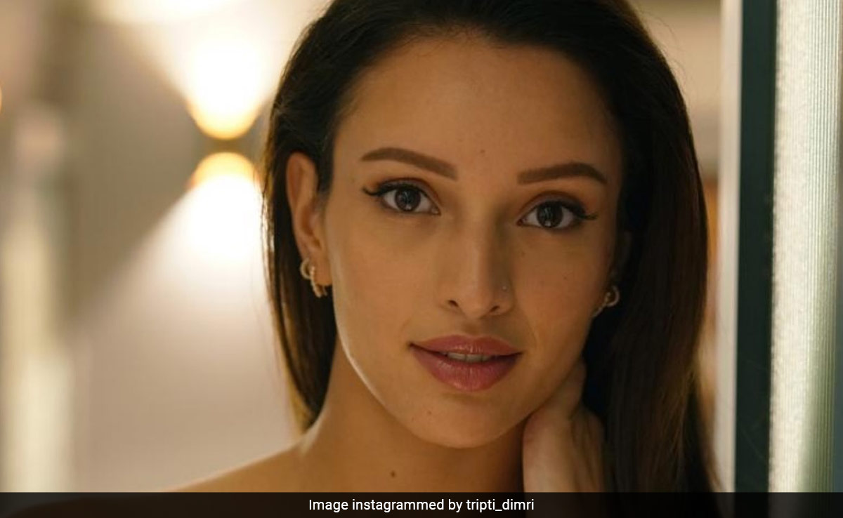 Triptii Dimri's Summer Radiance Lives Rent Free In Her Soft Girl Aesthetic Era