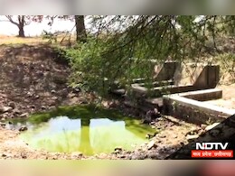 Madhya Pradesh: पानी की समस्या ऐसी की लड़कों की नहीं हो रही शादी! मूलभूत सुविधाओं से जुड़ा है इस गांव के लोगों का दर्द