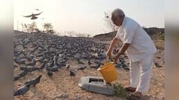 इन बुजुर्गों के हौसलों के आगे भीषण गर्मी भी टेकती है घुटने, 15 साल से बेजुबान पशु-पक्षियों की कर रहे हैं सेवा