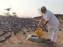 इन बुजुर्गों के हौसलों के आगे भीषण गर्मी भी टेकती है घुटने, 15 साल से बेजुबान पशु-पक्षियों की कर रहे हैं सेवा इन बुजुर्गों के हौसलों के आगे भीषण गर्मी भी टेकती है घुटने, 15 साल से बेजुबान पशु-पक्षियों की कर रहे हैं सेवा