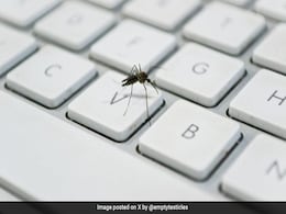 इस मच्छर की तस्वीर में ऐसा क्या है? जिसकी वजह से वायरल हुआ यह ट्वीट और 49 लाख लोगों ने इसे देख भी लिया इस मच्छर की तस्वीर में ऐसा क्या है? जिसकी वजह से वायरल हुआ यह ट्वीट और 49 लाख लोगों ने इसे देख भी लिया