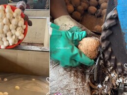 "India's Only Zero Waste Food Industry?" Video Of Coconut Factory Has Internet's Attention