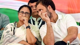 Rahul Gandhi's Role In Question? More INDIA Leaders Back Mamata Banerjee