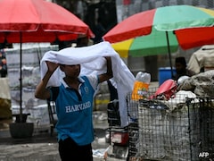 Scientists Warn Of Climate Threat To Chocolate