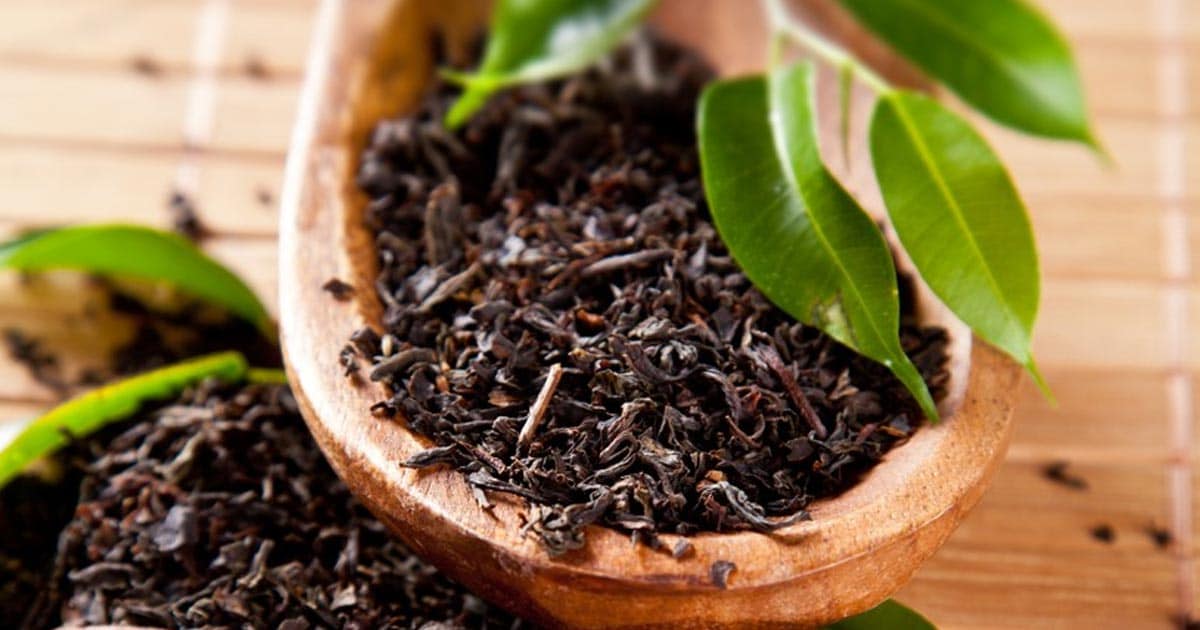 5 Key Tips To Store Tea Properly