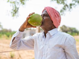 Summer Diet: गर्मियों में क्या खाएं और क्या न खाएं?