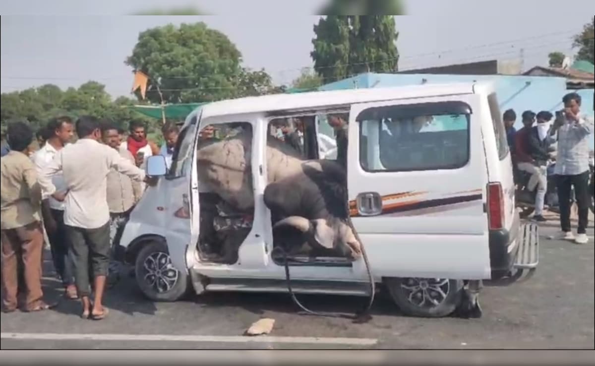 हाईवे पर तेज रफ्तार से दौड़ रही थी कार, तभी सामने आ गया सांड; आपने पहले नहीं देखा होगा ऐसा