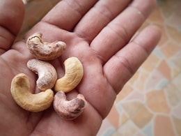 क्या आप भी वजन बढ़ने के डर से नहीं खाते हैं काजू तो न्यूट्रिशनिस्ट से जानिए क्यों Cashews को जरूर बनाना चाहिए खानपान का हिस्सा  क्या आप भी वजन बढ़ने के डर से नहीं खाते हैं काजू तो न्यूट्रिशनिस्ट से जानिए क्यों Cashews को जरूर बनाना चाहिए खानपान का हिस्सा