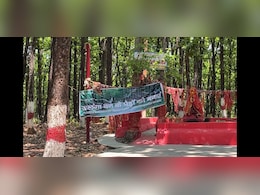 देहरादून में 2000 पेड़ों पर मौत का लाल निशान, प्यास बुझाने का यह कैसा प्लान?