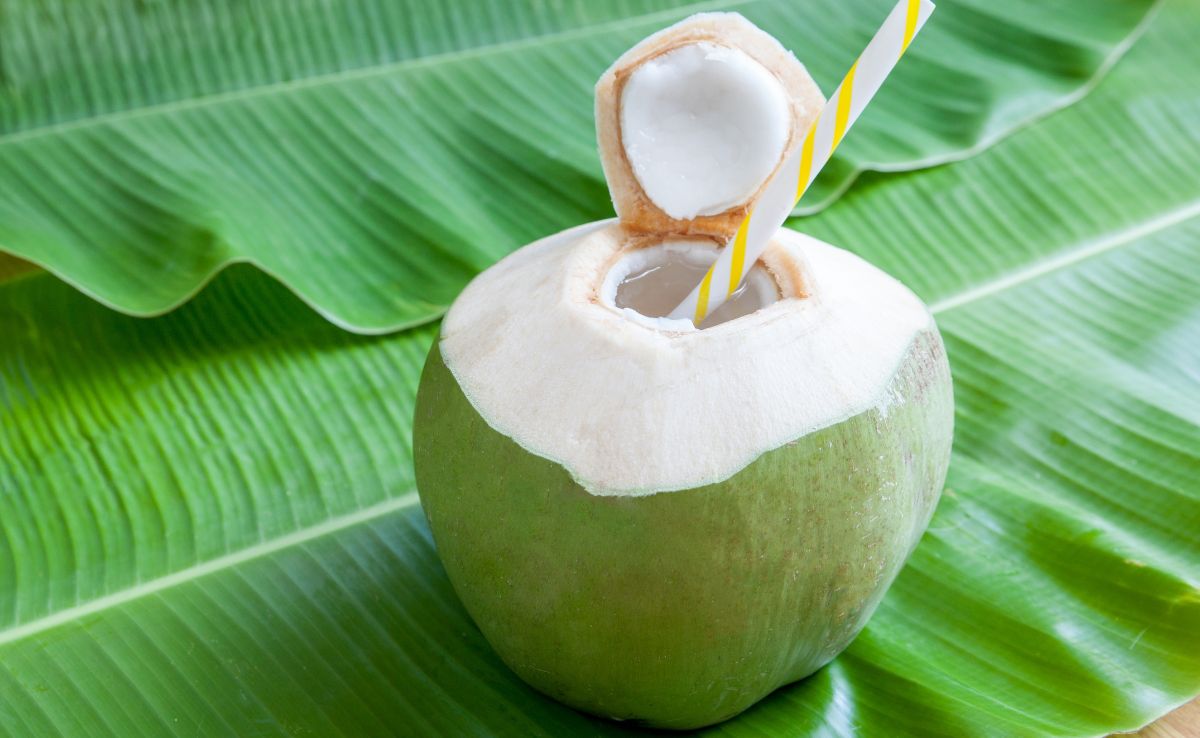 Coconut water's hydrating & antioxidant properties help keep the skin moisturised and glowing