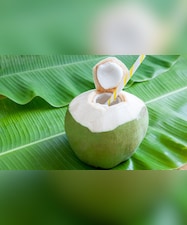इन 5 लोगों को भूलकर भी नहीं पीना चाहिए नारियल पानी