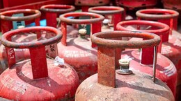 LPG Price Cut: MP में सस्ता हो गया LPG गैस सिलेंडर, 25 रुपये तक घटे दाम... यहां देखें नए रेट