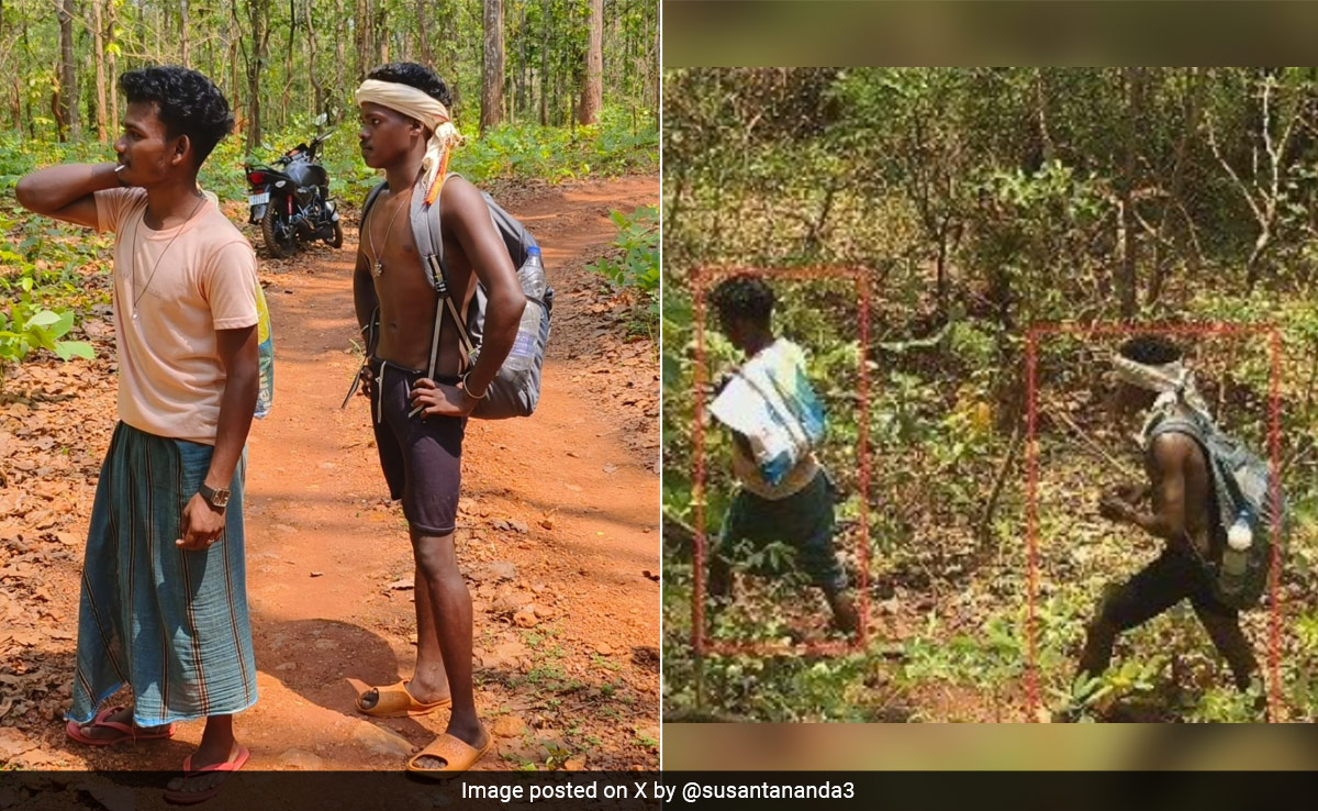 Forest Officer Shares Pics Of Intruders Taken By AI Camera At Odisha Tiger Reserve