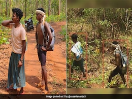 Forest Officer Shares Pics Of Intruders Taken By AI Camera At Odisha Tiger Reserve Forest Officer Shares Pics Of Intruders Taken By AI Camera At Odisha Tiger Reserve