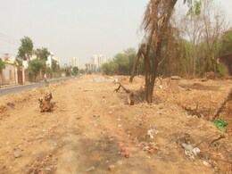 "Wasn't Aware Permission Needed": Delhi Lt Governor To Top Court On Tree Felling "Wasn't Aware Permission Needed": Delhi Lt Governor To Top Court On Tree Felling
