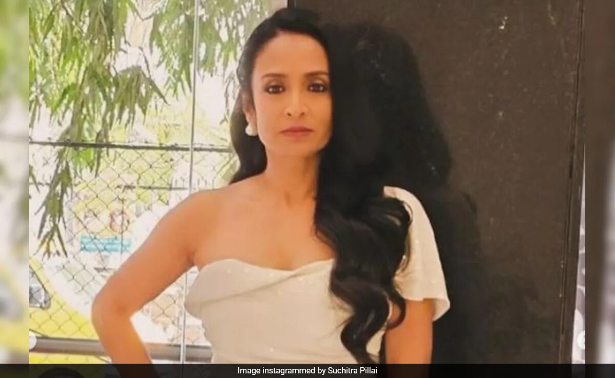 Suchitra Pillai's Casting Couch Experience - "Little Compromise Needed," She Was Told