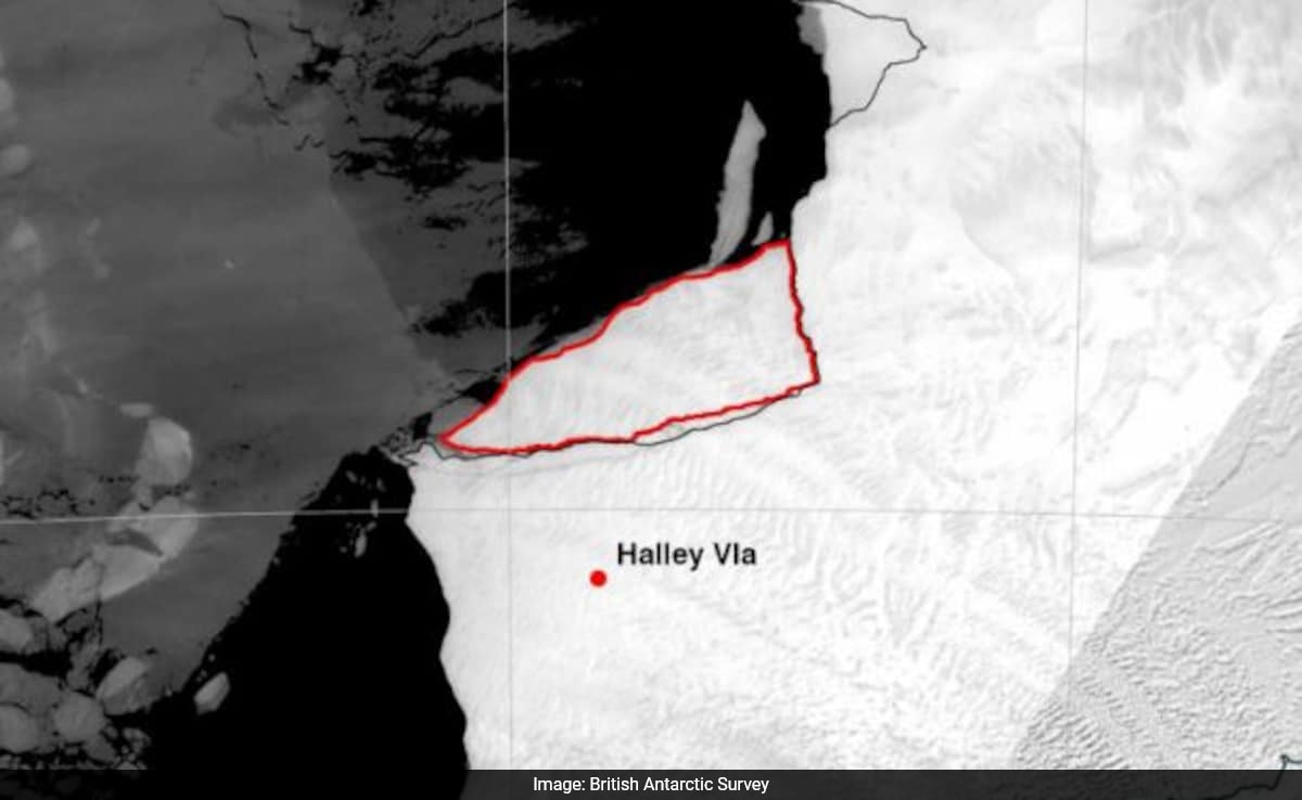 Iceberg Nearly As Big As Amsterdam Breaks From Antarctica After Cracks Appear In Ice Shelf - Vimarsana News