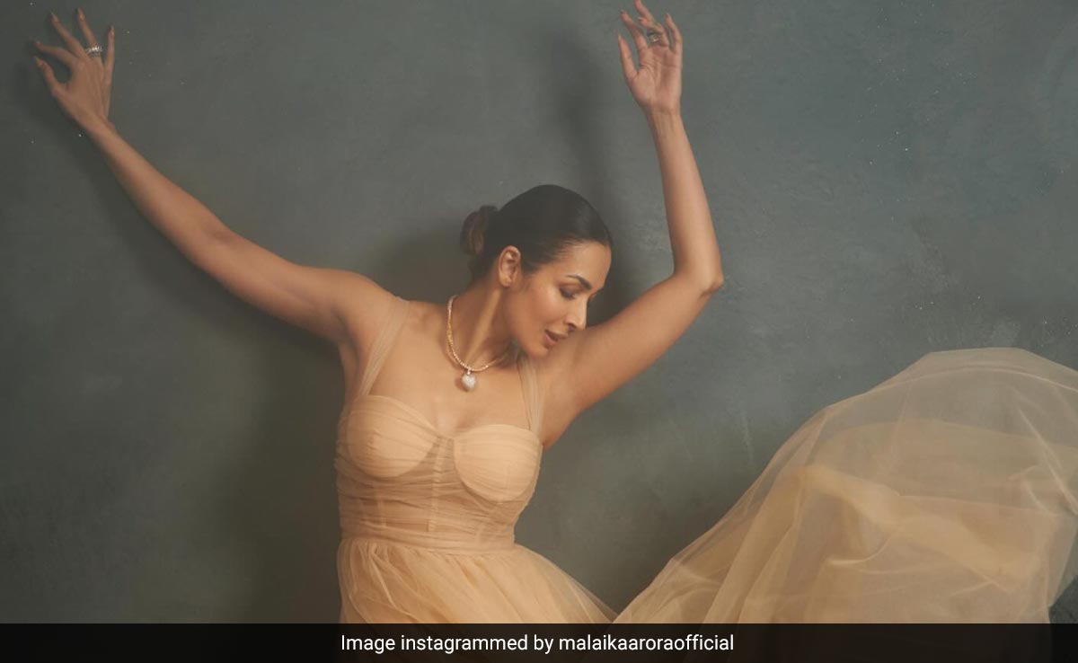 Malaika Arora's workout video is getting us motivated to power through the week
