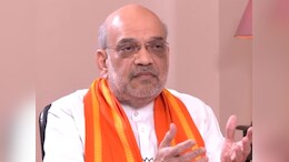 भाजपचा अंतर्गत सर्वे, पक्षानं घेतला धसका? चाणक्य मैदानात उतरणार