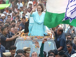 Over 100 Public Meetings, Roadshows: Priyanka Gandhi's 2024 Poll Campaign Over 100 Public Meetings, Roadshows: Priyanka Gandhi's 2024 Poll Campaign