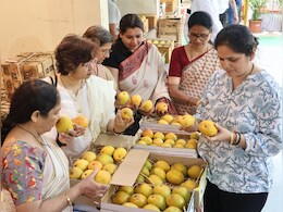 Indore: मैंगो जत्रा में हापुस का जलवा बरकरार, इस वजह से बना है ये आमों का शहंशाह