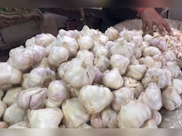 बारां में लहसुन की बंपर खेती से खिले किसानों के चेहरे, मंडियों में 7 से 20 रूपये क्वींटल की हो रही  बिक्री