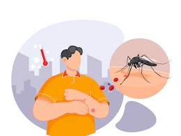 राजस्थान में बढ़ रहा मौसमी बीमारियों का  प्रकोप, अलर्ट मोड पर प्रशासन, हर जिले पर है नजर राजस्थान में बढ़ रहा मौसमी बीमारियों का  प्रकोप, अलर्ट मोड पर प्रशासन, हर जिले पर है नजर