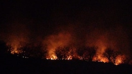 Dausa Hill Fire: सूरज की तपिश से लाल हुई राजस्थान की धरा, दौसा में पहाड़ी क्षेत्र में लगी आग, 10 हेक्टेयर जलकर हुई राख