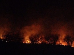 Dausa Hill Fire: सूरज की तपिश से लाल हुई राजस्थान की धरा, दौसा में पहाड़ी क्षेत्र में लगी आग, 10 हेक्टेयर जलकर हुई राख