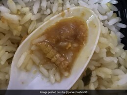 काशी एक्सप्रेस में मिले खाने में निकला कीड़ा, देखकर यात्री के उड़े होश, फोटो शेयर कर रेल मंत्री से कही ये बात काशी एक्सप्रेस में मिले खाने में निकला कीड़ा, देखकर यात्री के उड़े होश, फोटो शेयर कर रेल मंत्री से कही ये बात