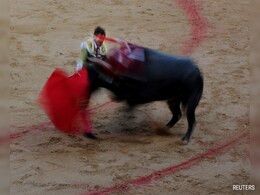 Spain Scraps National Bullfighting Award In Cultural Shift, Sparks Debate Spain Scraps National Bullfighting Award In Cultural Shift, Sparks Debate