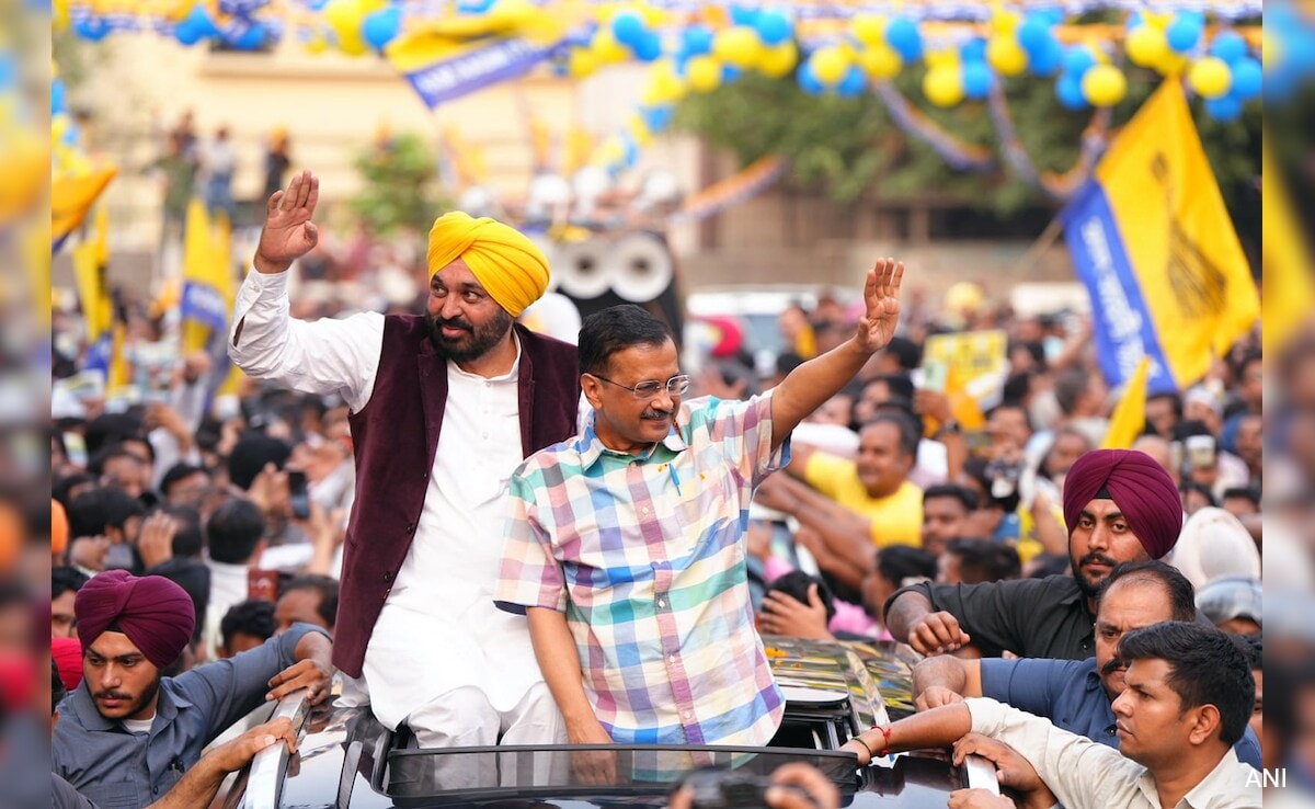 "My Fault Is I Built Schools, Provided Medical Care": Arvind Kejriwal At Delhi Rally