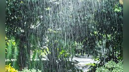 Mumbai Monsoon Update: मुंबईमध्ये मान्सून 10 जूनला होणार दाखल?&nbsp;