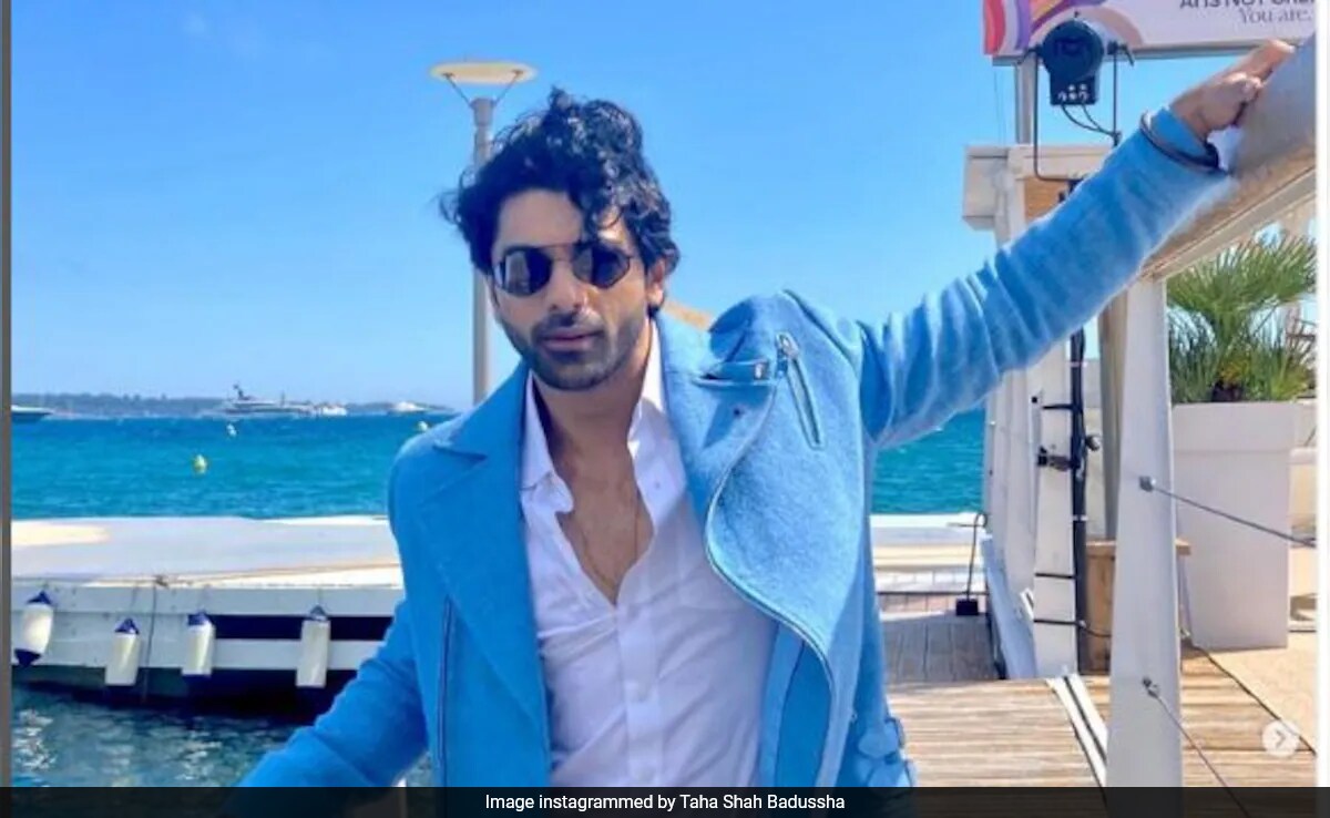 Cannes 2024: <i>Heeramandi</i> Actor Taha Shah Badussha On Meeting Fans - "A Bunch Of Girls Started Crying"