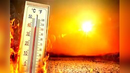 Rajasthan weather: बाड़मेर में 48 डिग्री पहुंचा तापमान, मौसम विभाग ने जारी की चेतावनी
