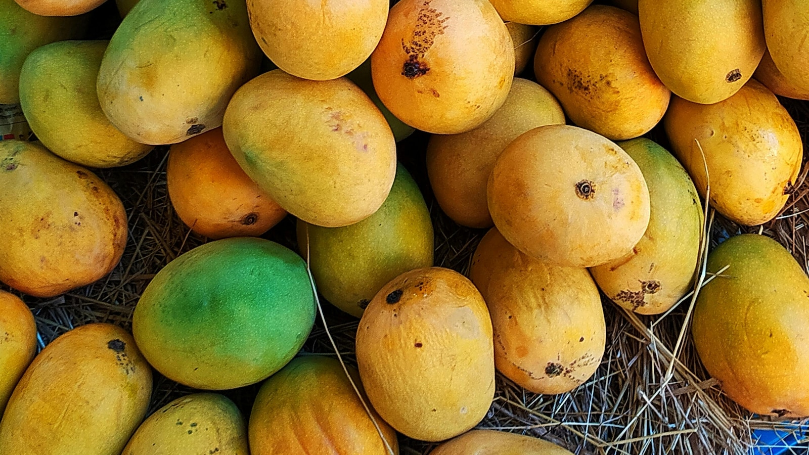 No Ban On Import Of Indian Mangoes, Says Nepal