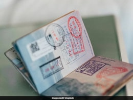 टाटा सोलर, रिन्यू, अवाडा इलेक्ट्रो ने सरकार से चीनी पेशेवरों के लिए मांगा वीजा