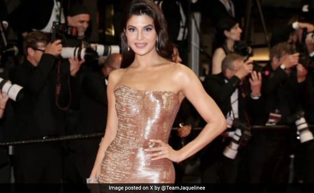 Jacqueliene Fernandez's Cannes 2024 Red Carpet Debut Glitters More Than Gold In This Strapless Metallic Gown